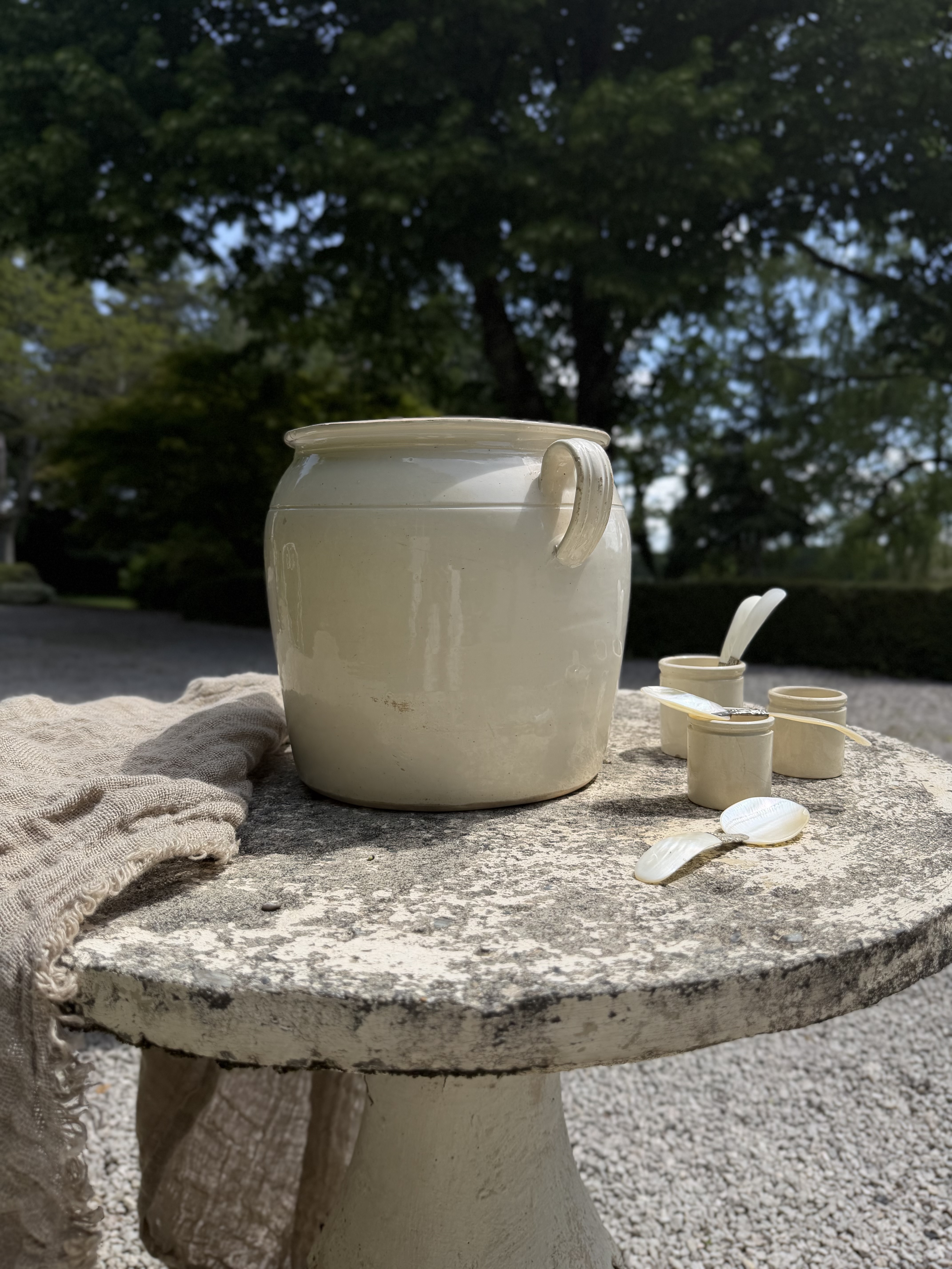Profile view showing the prominent horizontal ears of the confit pot