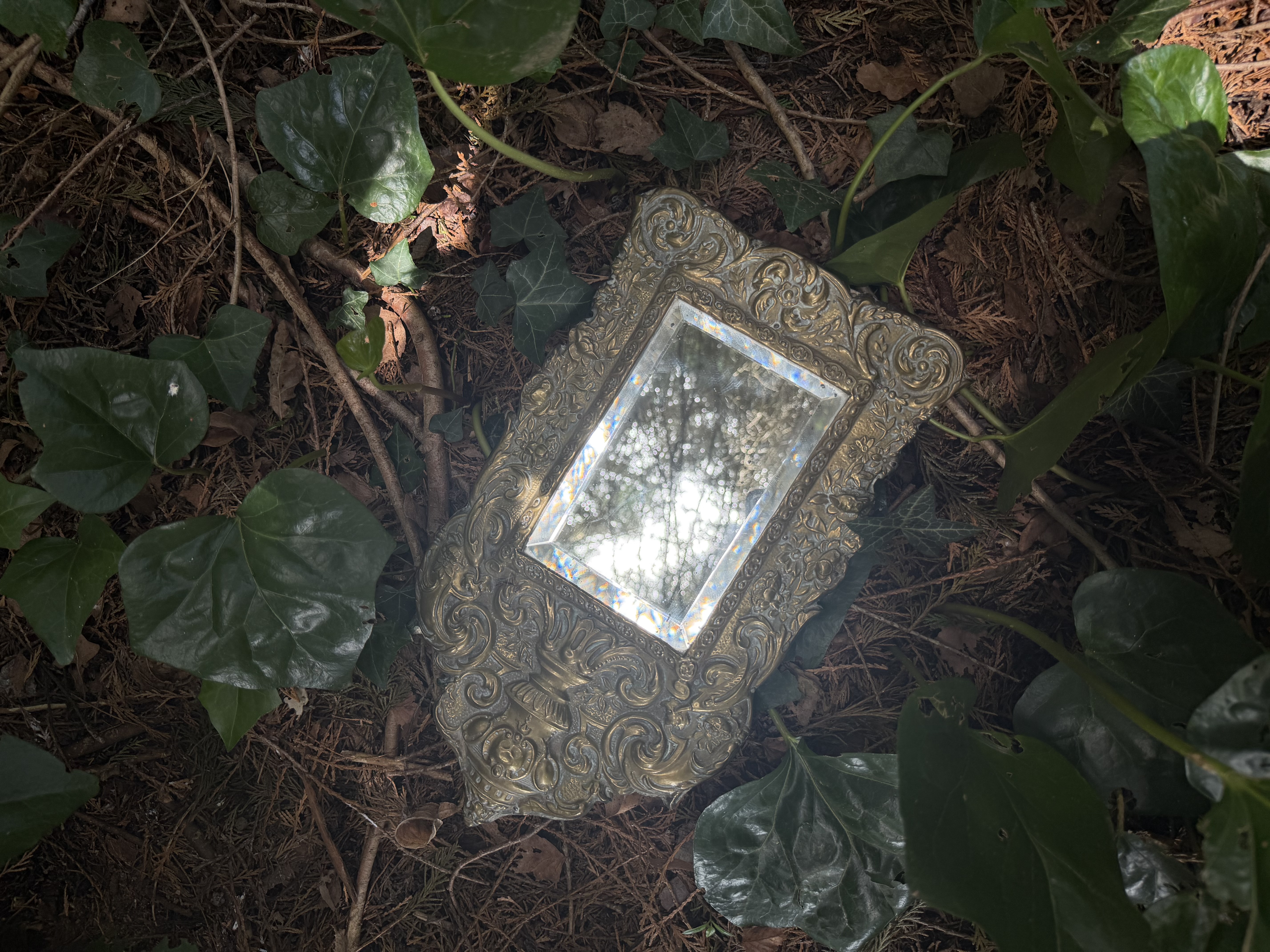 Angled view of the mirror resting on a bed of forest ivy
