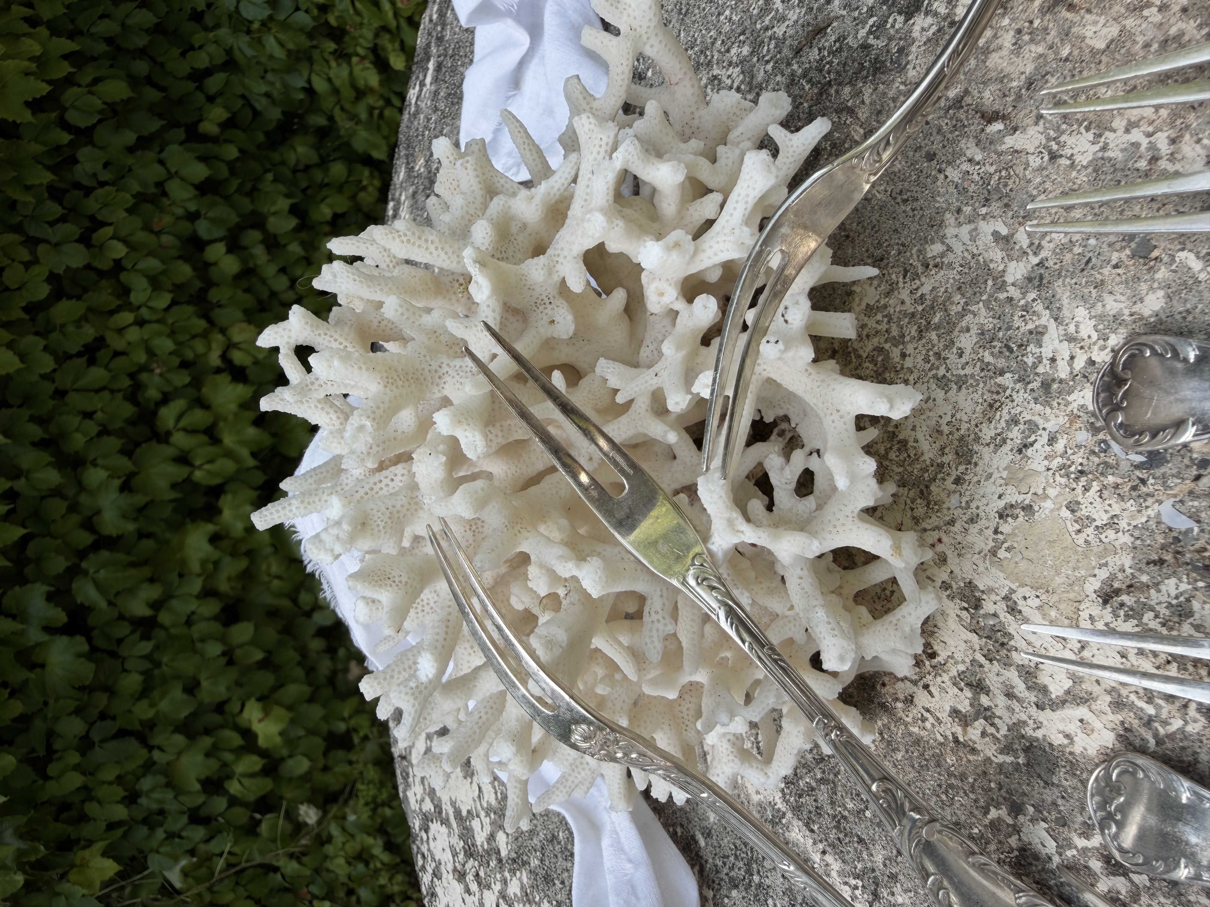 Close up of the elegant tines of the antique French escargot forks