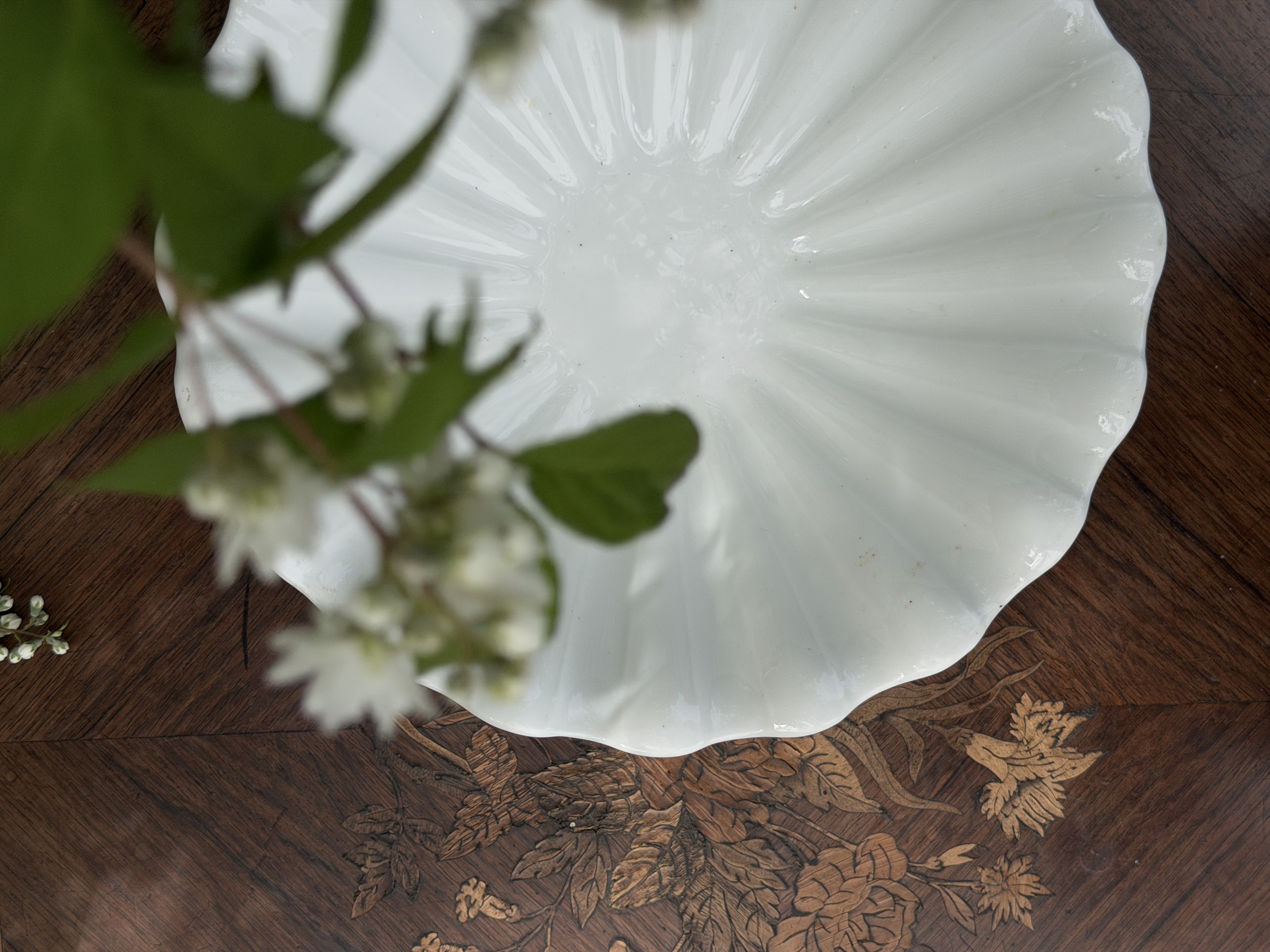 Close up detail of the scalloped edge of the faïence ceramic