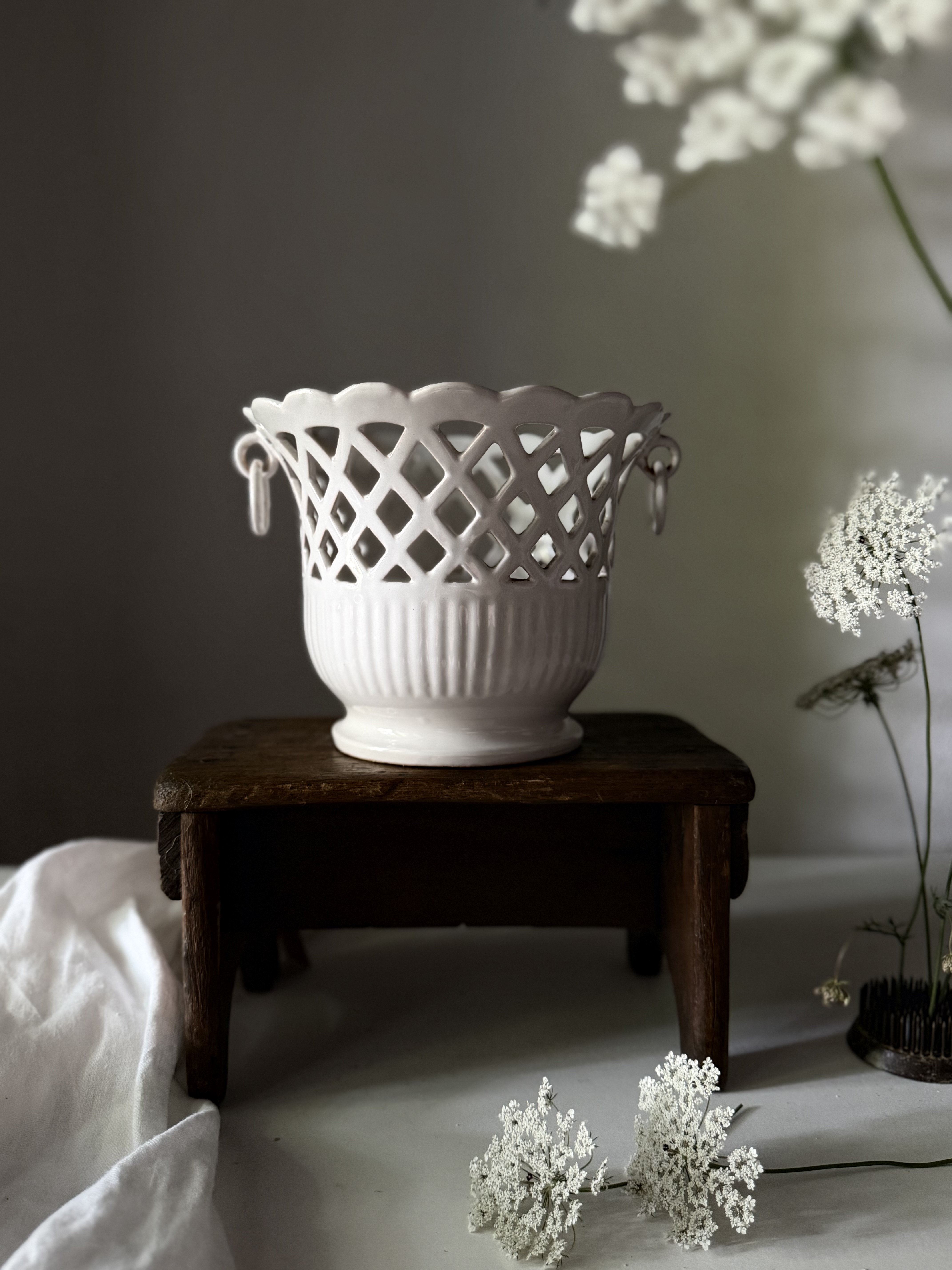 Émile Tessier cachepot styled gracefully with delicate white botanical sprigs