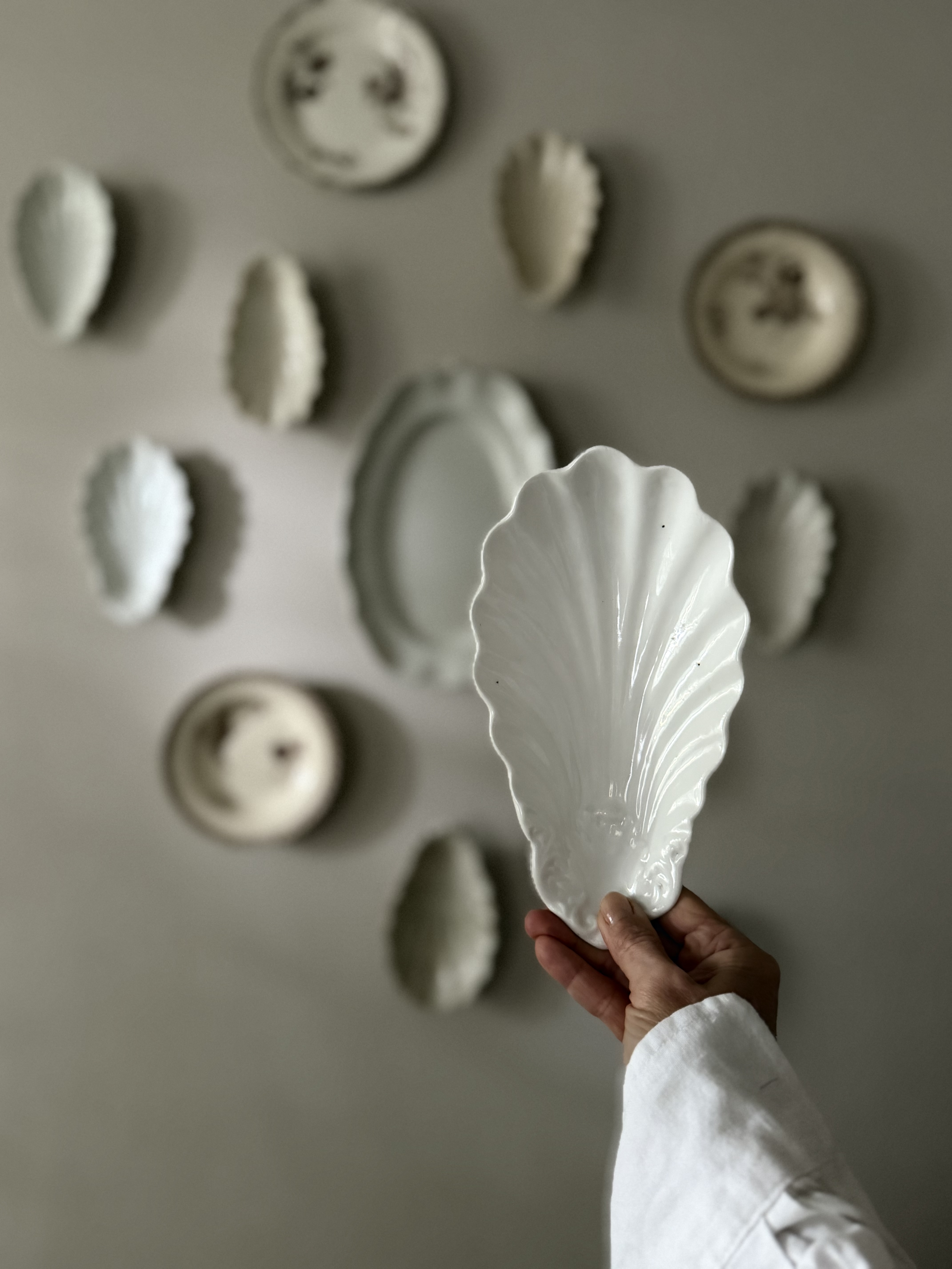 Hand holding the white faïence scalloped ravier against a plate wall backdrop