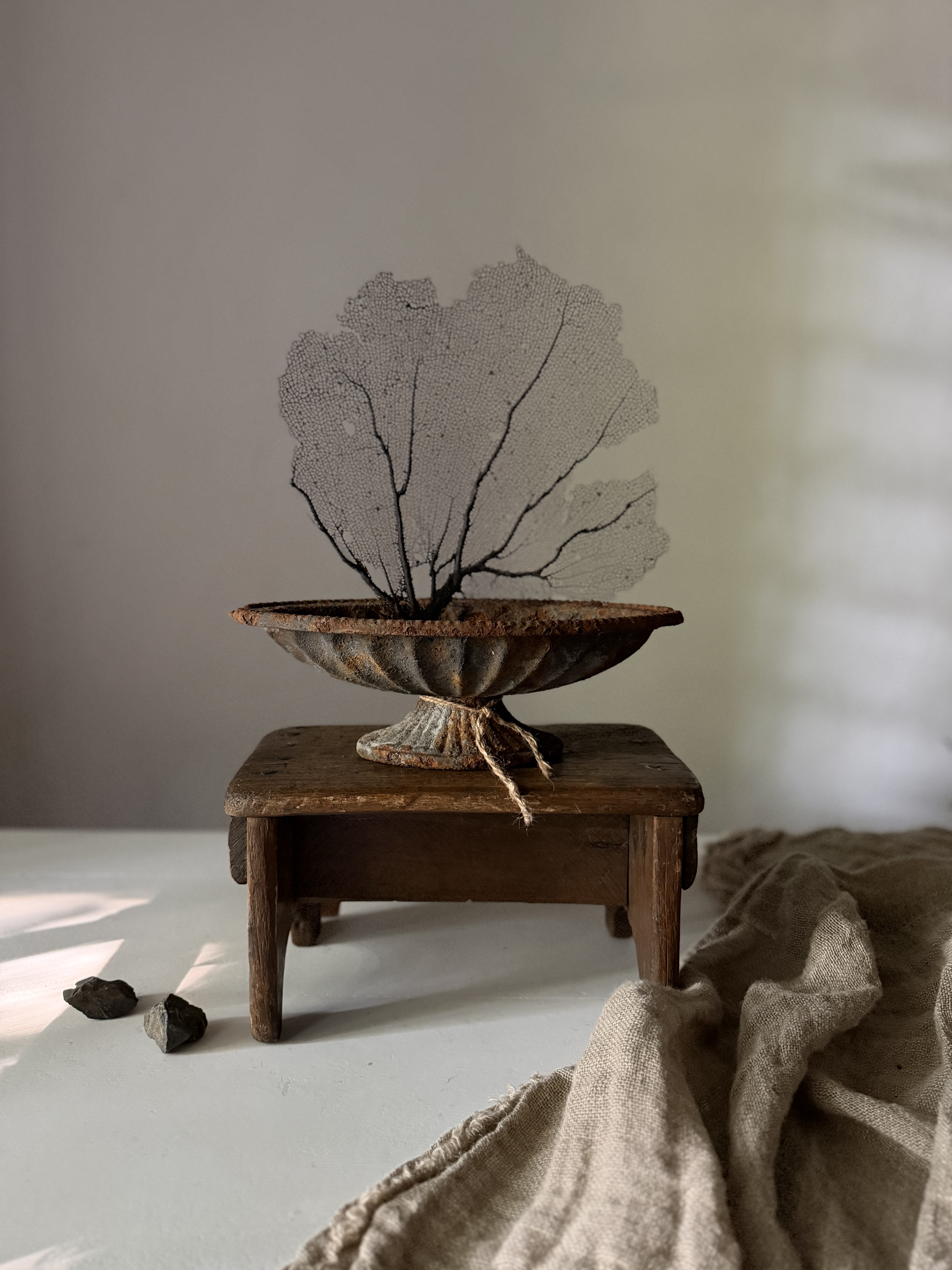 Antique Rustic Iron Jardinière